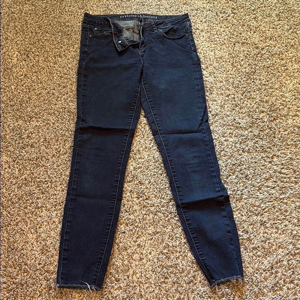 Articles of Society Dark Wash Skinny Jean
